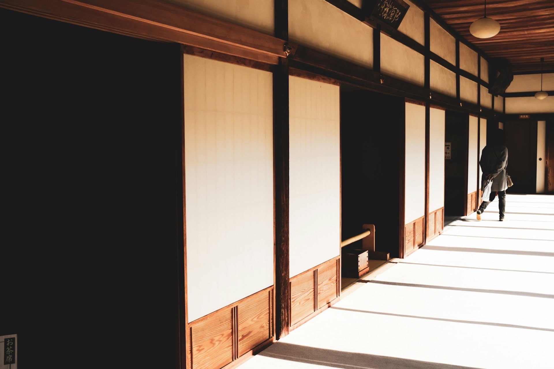 Movement: Yoga & Meditation