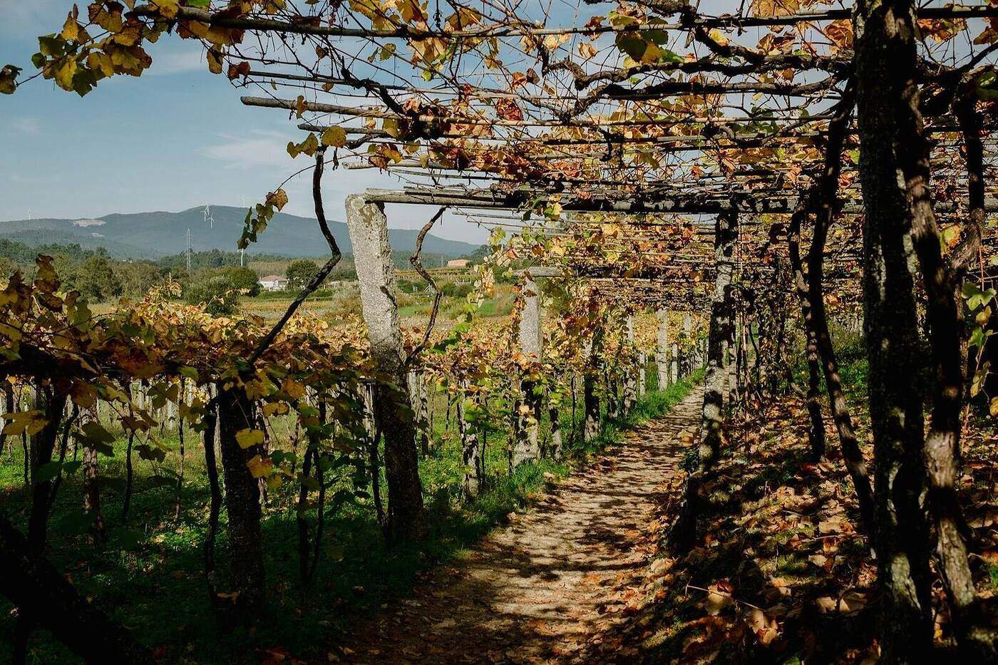 Wandern & Spazieren in der Weststeiermark